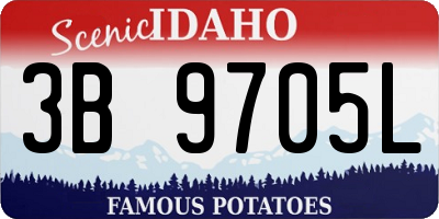 ID license plate 3B9705L