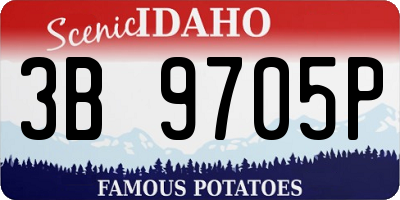 ID license plate 3B9705P