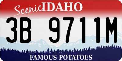 ID license plate 3B9711M
