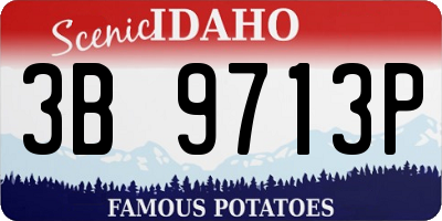 ID license plate 3B9713P
