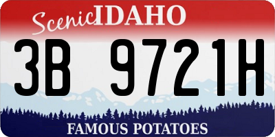 ID license plate 3B9721H
