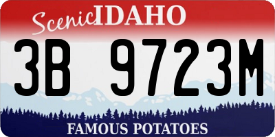 ID license plate 3B9723M
