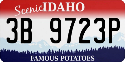 ID license plate 3B9723P