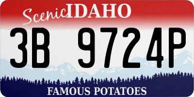 ID license plate 3B9724P