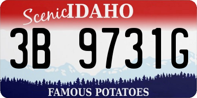 ID license plate 3B9731G
