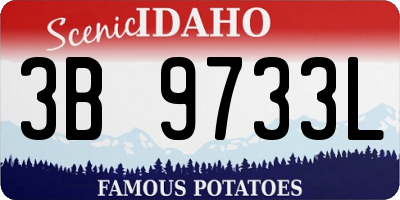ID license plate 3B9733L