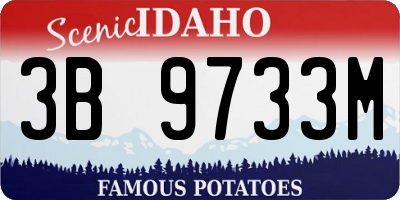 ID license plate 3B9733M