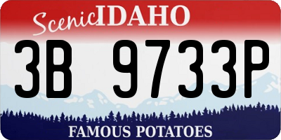 ID license plate 3B9733P
