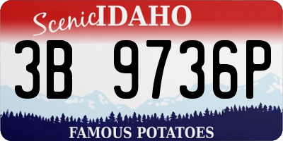 ID license plate 3B9736P