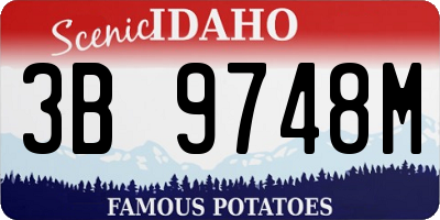 ID license plate 3B9748M