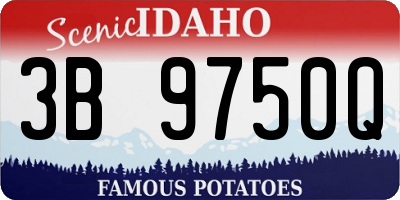 ID license plate 3B9750Q