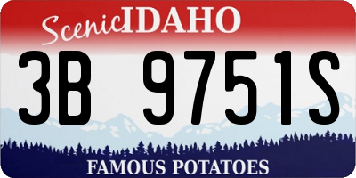 ID license plate 3B9751S