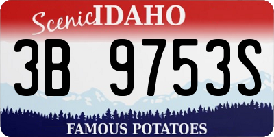 ID license plate 3B9753S