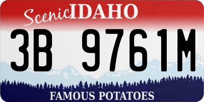 ID license plate 3B9761M