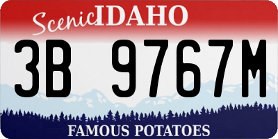 ID license plate 3B9767M