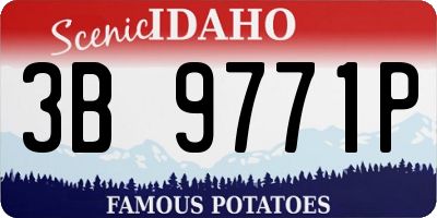 ID license plate 3B9771P
