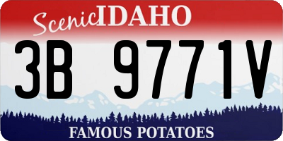 ID license plate 3B9771V