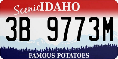 ID license plate 3B9773M
