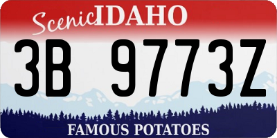 ID license plate 3B9773Z