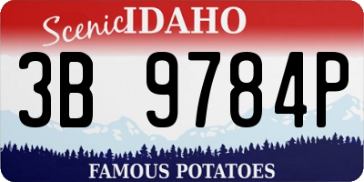 ID license plate 3B9784P