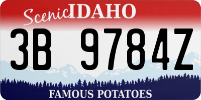 ID license plate 3B9784Z