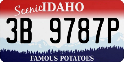 ID license plate 3B9787P