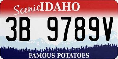 ID license plate 3B9789V