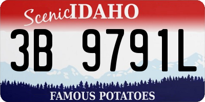 ID license plate 3B9791L