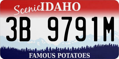ID license plate 3B9791M