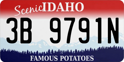 ID license plate 3B9791N