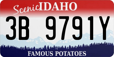 ID license plate 3B9791Y