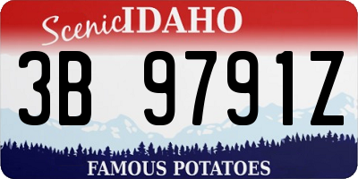 ID license plate 3B9791Z