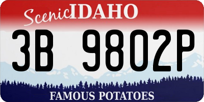 ID license plate 3B9802P