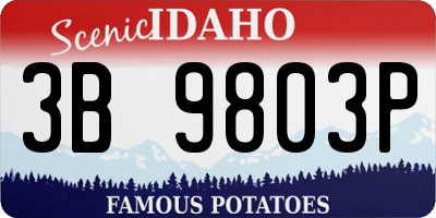 ID license plate 3B9803P