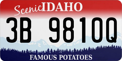 ID license plate 3B9810Q