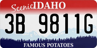 ID license plate 3B9811G