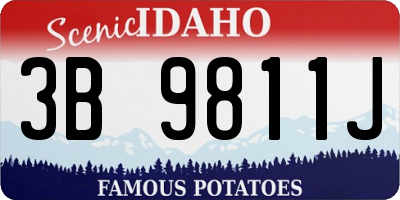 ID license plate 3B9811J