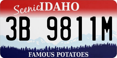 ID license plate 3B9811M