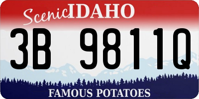 ID license plate 3B9811Q
