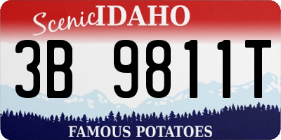 ID license plate 3B9811T