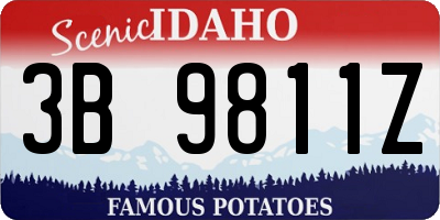 ID license plate 3B9811Z