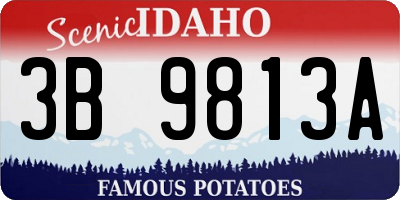 ID license plate 3B9813A