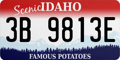 ID license plate 3B9813E