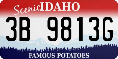 ID license plate 3B9813G