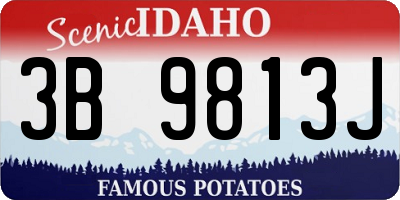 ID license plate 3B9813J