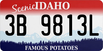 ID license plate 3B9813L