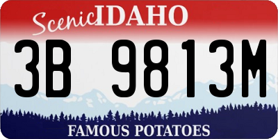 ID license plate 3B9813M