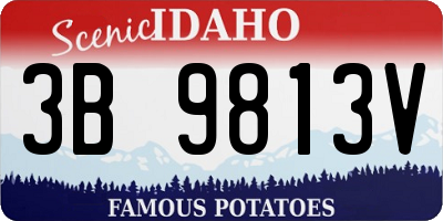 ID license plate 3B9813V