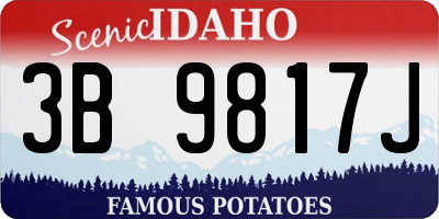 ID license plate 3B9817J