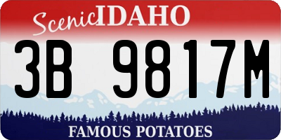 ID license plate 3B9817M